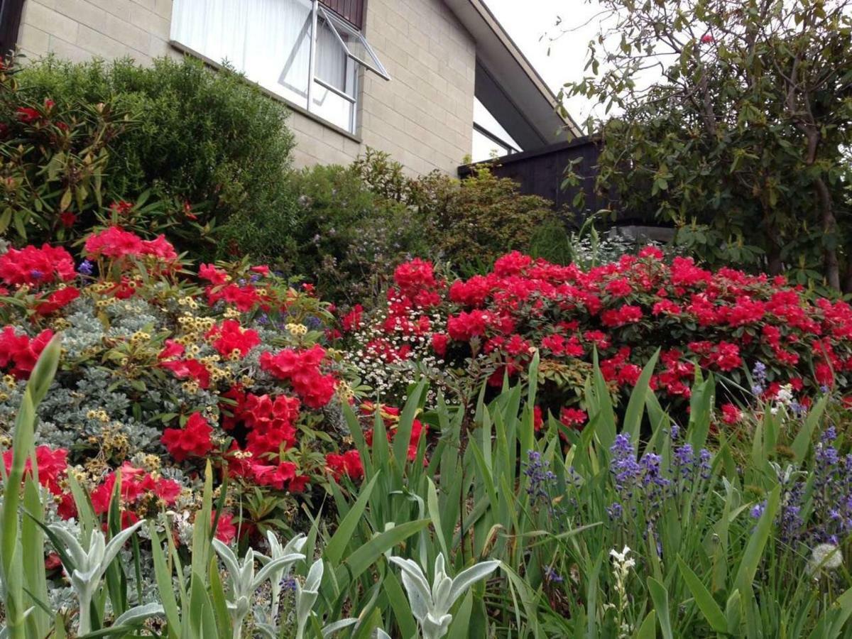 Peaceful Modern Comfy Homely Well Equipped Studio Dunedin Exterior foto